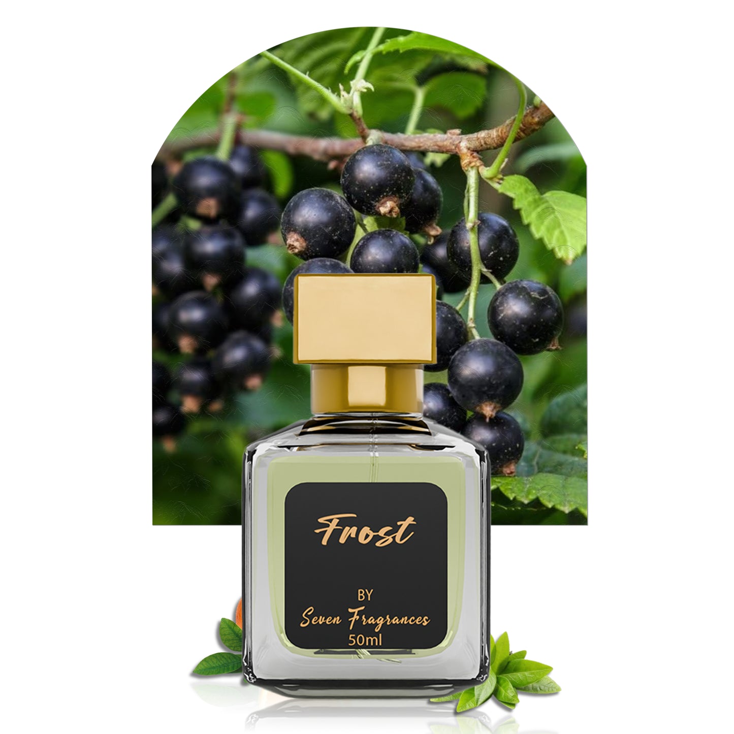 Frost | Our take on Creed Silver Mountain Water